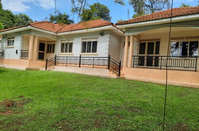 Residential house for rent