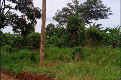 Plot on sale in kawanda jokolera