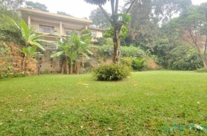 270, REFURBISHED 4 BEDROOM HOUSE FOR RENT IN MBUYA WITH A MATURE GARDEN