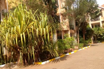 2 Bedrooms Furnished Apartments For Rent In Kololo