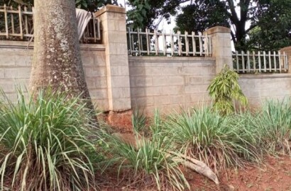 50 Decimals Commercial Plot Of Land For Sale Ntinda 850m