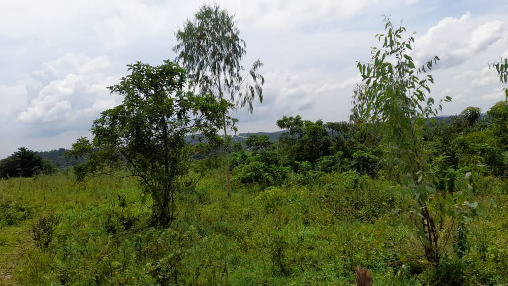 Land for sale
