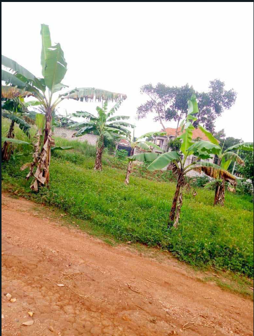Land for Sale in Kira kitukutwe