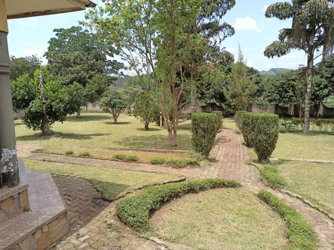 Residential house